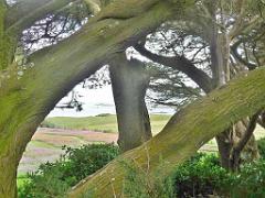 130 Ile de Batz Jardin Georges Delaselle_000012